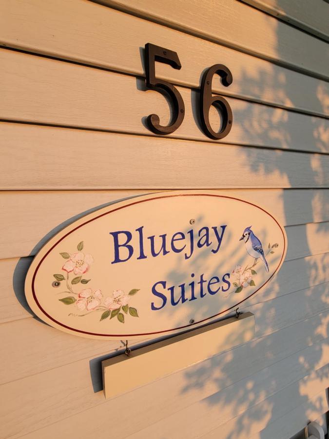 Bluejay Suites B&B Whitehorse Esterno foto